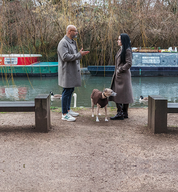 divorce coach services